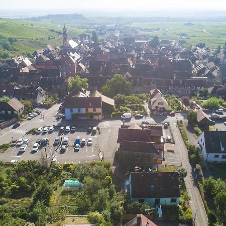 Muscat - Bel Appartement Renove Recemment - Au Pied Du Vignoble - Parking Gratuit Riquewihr Dış mekan fotoğraf